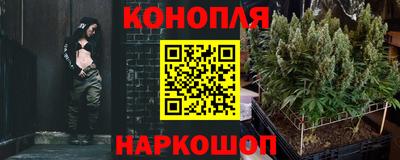 трава Гатчина