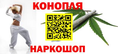 трава Гатчина