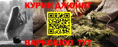 трава Гатчина